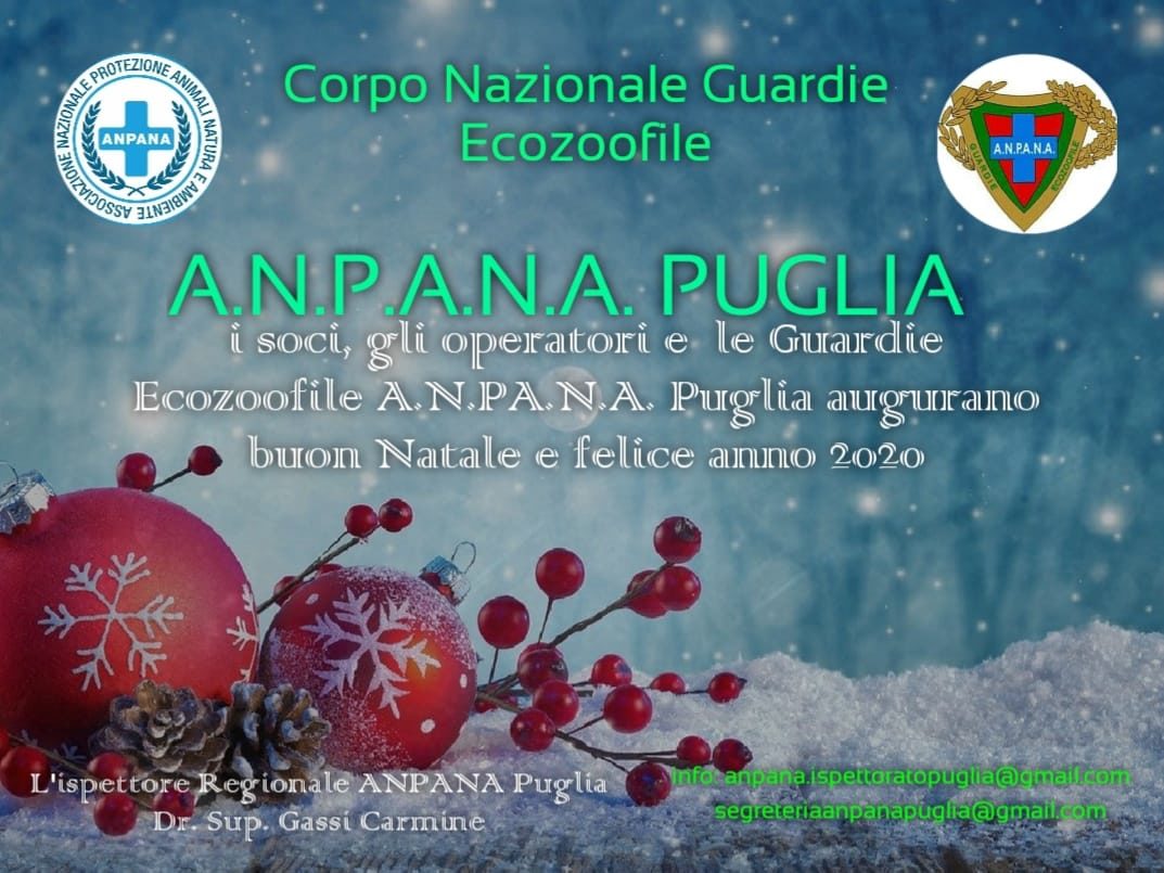 Buon Natale In Pugliese.Anpana Puglia Augura A Tutti Un Buon Natale E Un Felice 2020 Anpana Puglia